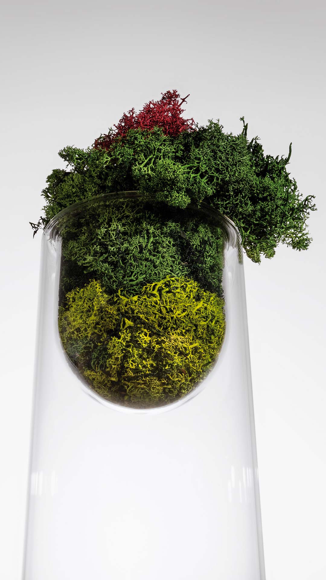 Vase Topless